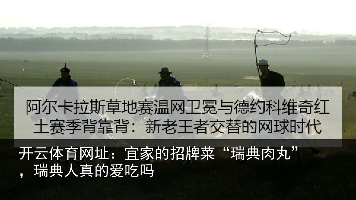 开云体育网址：宜家的招牌菜“瑞典肉丸”，瑞典人真的爱吃吗