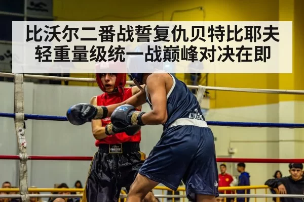 比沃尔二番战誓复仇贝特比耶夫 轻重量级统一战巅峰对决在即