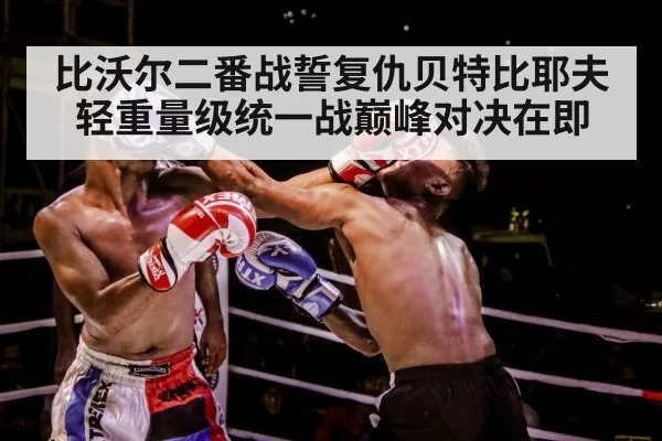 boxer training gloves